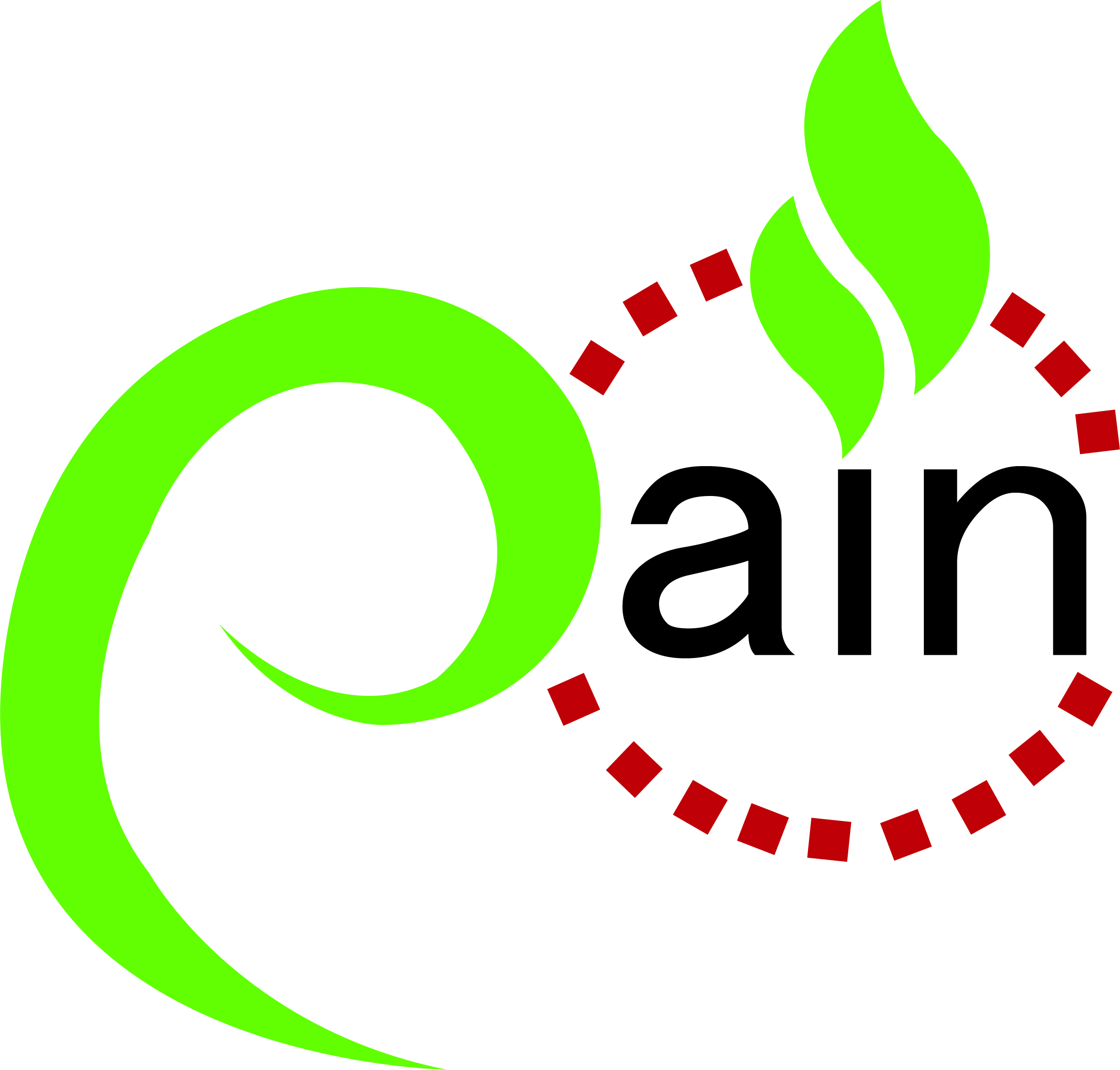 Pain Alleviation Initiative Network